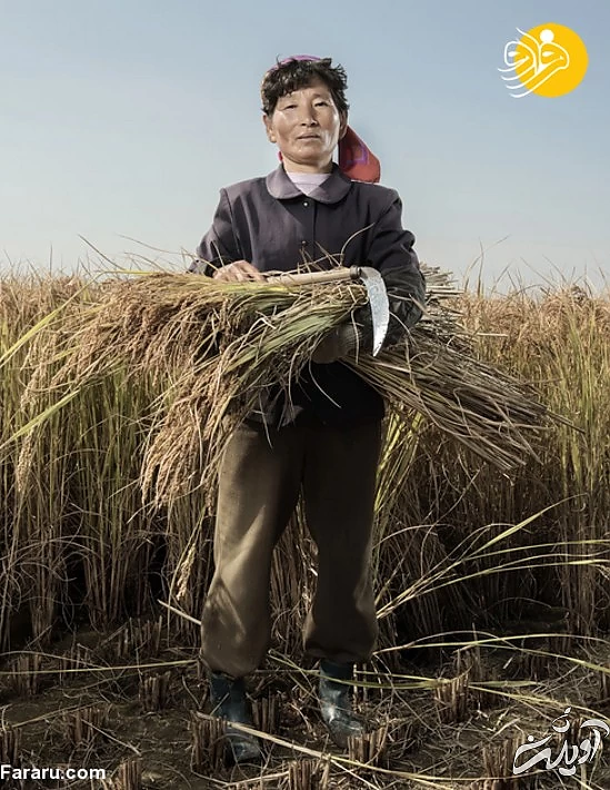 (تصاویر) پرتره&zwnj;هایی از مردم معمولی کره شمالی